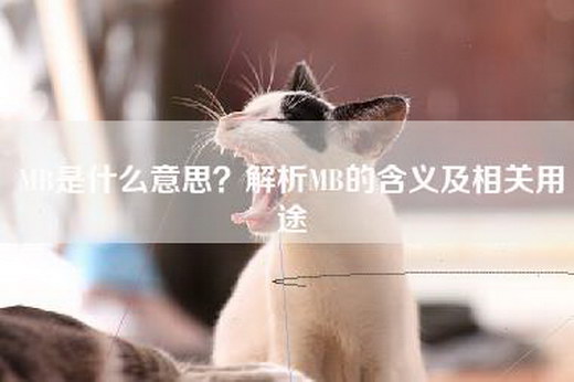 MB是什么意思？解析MB的含义及相关用途