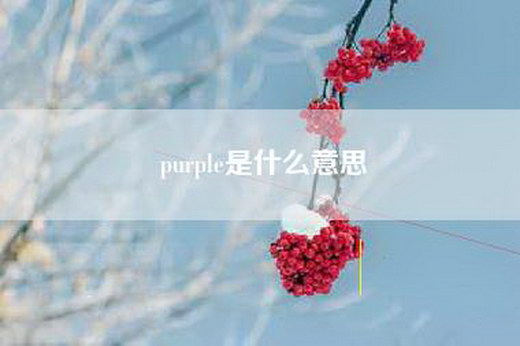 purple是什么意思