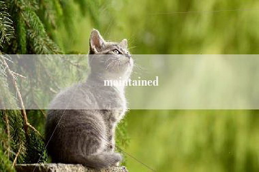 maintained