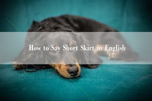 How to Say Short Skirt in English