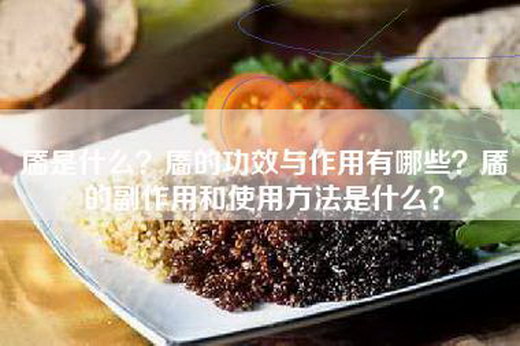 靥是什么？靥的功效与作用有哪些？靥的副作用和使用方法是什么？