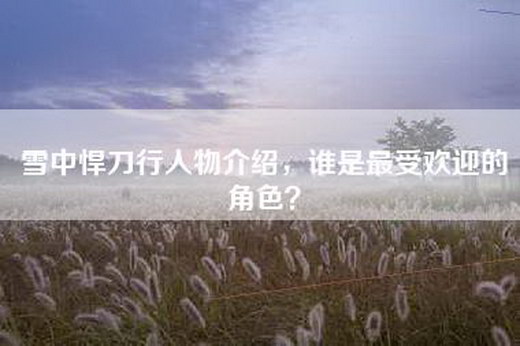 雪中悍刀行人物介绍，谁是最受欢迎的角色？