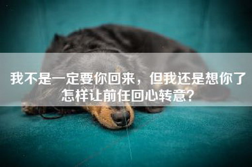 我不是一定要你回来，但我还是想你了怎样让前任回心转意？