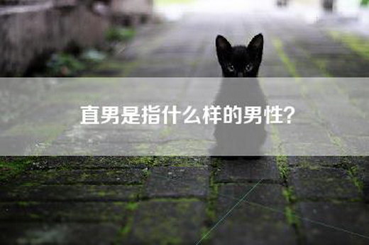 直男是指什么样的男性？