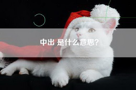 中出 是什么意思？