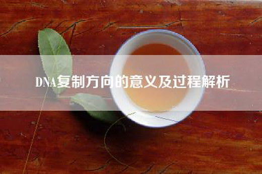 DNA复制方向的意义及过程解析