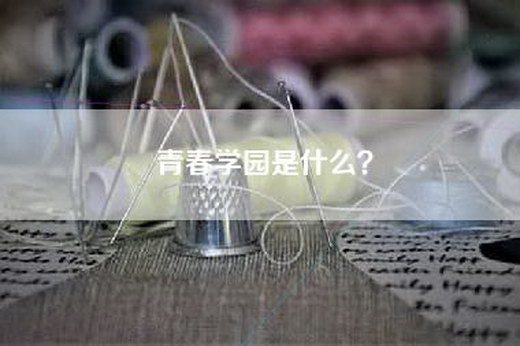 青春学园是什么？