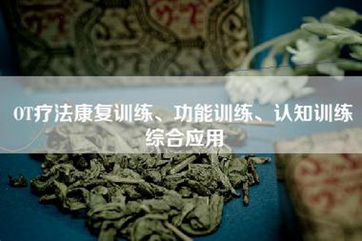 OT疗法康复训练、功能训练、认知训练综合应用