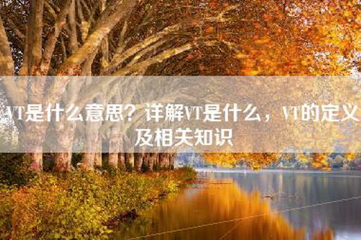 VT是什么意思？详解VT是什么，VT的定义及相关知识