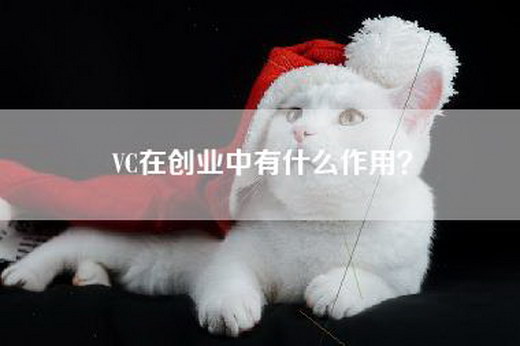 VC在创业中有什么作用？