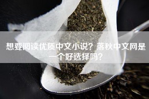 想要阅读优质中文小说？落秋中文网是一个好选择吗？