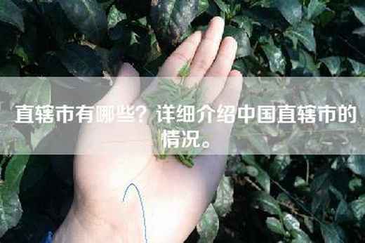 直辖市有哪些？详细介绍中国直辖市的情况。