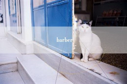 barber