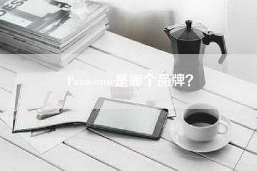 Panasonic是哪个品牌？