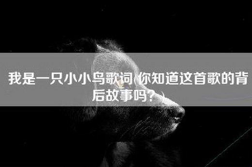 我是一只小小鸟歌词(你知道这首歌的背后故事吗？)