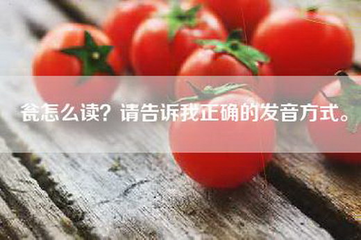 瓮怎么读？请告诉我正确的发音方式。