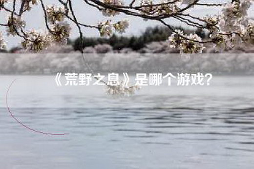 《荒野之息》是哪个游戏？