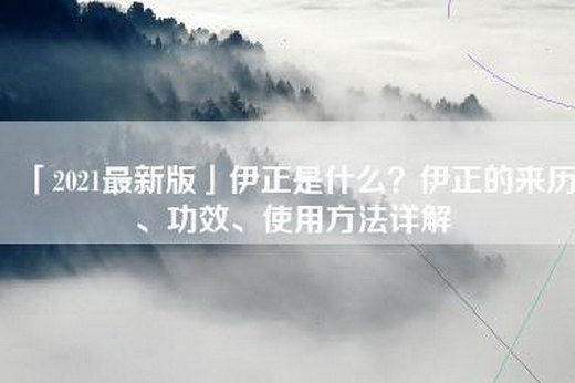 「2021最新版」伊正是什么？伊正的来历、功效、使用方法详解