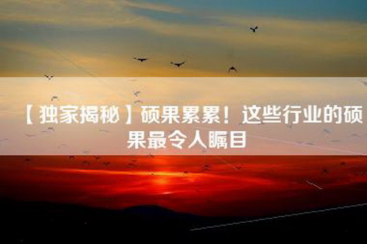 【独家揭秘】硕果累累！这些行业的硕果最令人瞩目