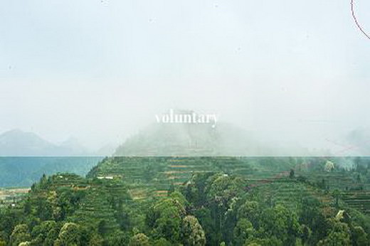 voluntary