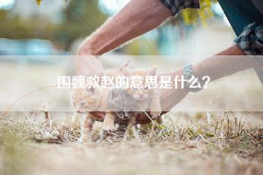 围魏救赵的意思是什么？