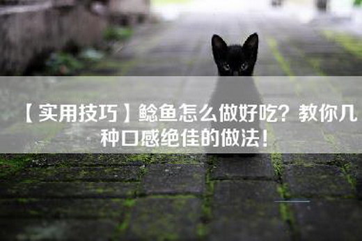 【实用技巧】鲶鱼怎么做好吃？教你几种口感绝佳的做法！